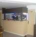 Casa Mia - Le bar