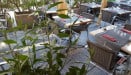Le plaza la paillotte - La terrasse