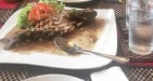 Café de Nice - Un plat à base de poisson 