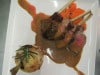 Château Beau Jardin - Carré d'agneau et gratin daupinois