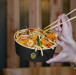 Krousty Sabaidi - Un bowl de nouilles