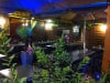Aux Saveurs du Sud - La terrasse 