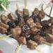 So Exquis - Des brochettes