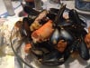 Zolibato - Moules