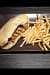 Pizz'burg - Sandwich et frites