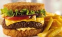 Buffalo Grill - Un burger et frites 