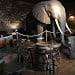The Elephant Pub - La salle