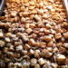 Al forno - Gnocchi de pommes de terre aux champignons et Truffe