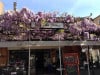 Le Café de Paris - La façade du restaurant