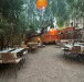 Le P'tit St Raph - La terrasse