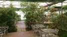 Paradis bio - La terrasse 