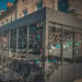 Le Sporting - La terrasse