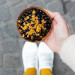 Pomme de Pain - Tartelette