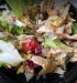 Le club - Une salade