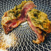Rhuman Grill - Un plat
