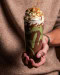 Le Paradis Du Fruit - Milkshake Choco pistache