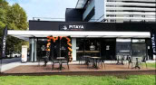 Pitaya