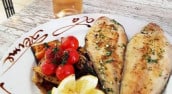 L'assiette du port