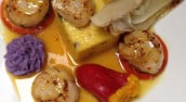 Le Tablier Bariolé
