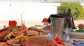 La terrasse de la plage