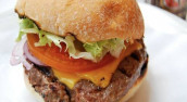 Fast 'N' Burger