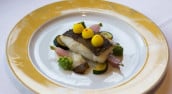 Chasseur Birkenwald