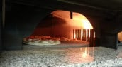 Pizza plus