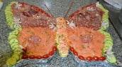 L' Ardoisine