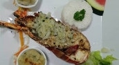 L'Eddy's Papillon