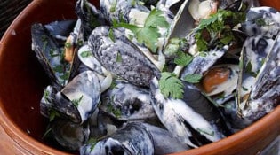 Le Barabou - Moules de bouchot