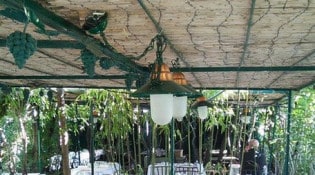 Les Grands Buffets - La terrasse