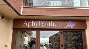 Aphyllanthe - La façade