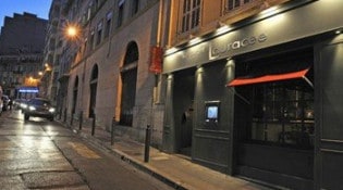 Lauracée - Lauracée
