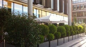 Vapiano - La terrasse