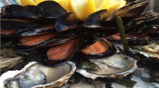 Coquillages Pierrot - plateau de fruits de mer