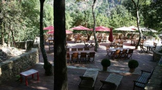 Auberge de la forêt - La terrasse 