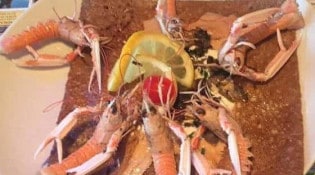 Cap à l'Ouest - Une norvégienne langoustine