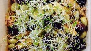 Entre midi et deux - Salade de pâtes, thon, fèves, comte, germes de roquette