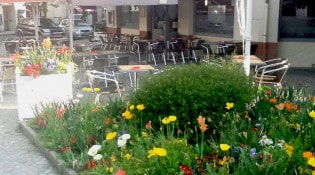Olive & plus - la terrasse 