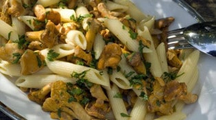 Les Frères Marchand - Penne aux Girolles