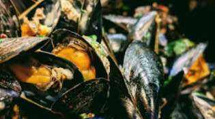 Poulpo - Moules