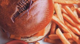 Buffalo Grill - Un burger et frites 