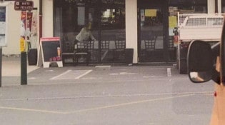 Brasserie Chez Mimo - la façade