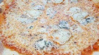 David Zapp's - Une pizza 