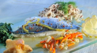 Le seino marin - Un plat