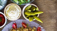 Le Meditérrannée - Un plat et salade