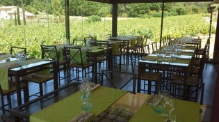 L'Estellan - La terrasse 