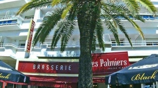 Les Palmiers - Le restaurant