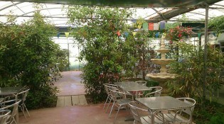 Paradis bio - La terrasse 