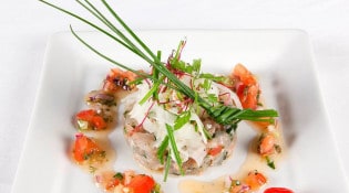 Cocktail cocktail - Tartare de bar et copeaux de fenouil